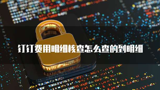 钉钉费用明细核查怎么查的到明细
