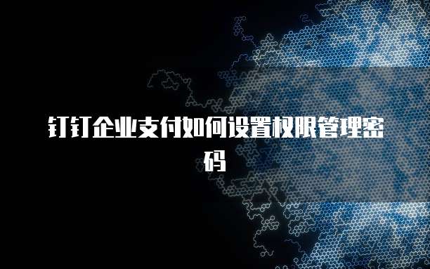 钉钉企业支付如何设置权限管理密码