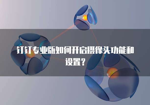 钉钉专业版如何开启摄像头功能和设置?