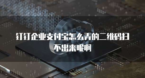 钉钉企业支付宝怎么弄的二维码扫不出来呢啊