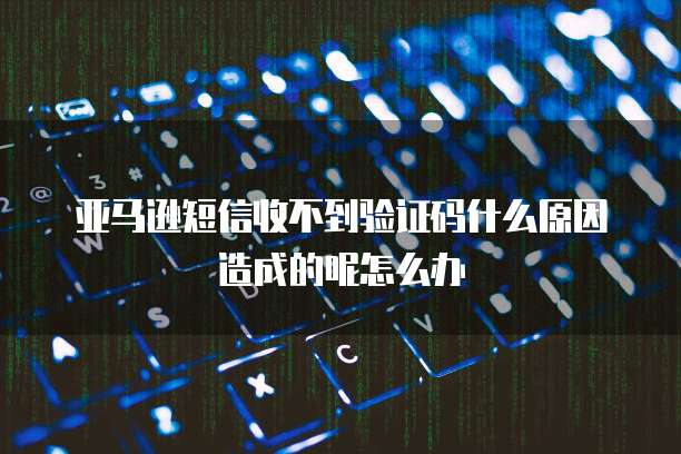 钉钉专业版和普通版在线会议人数区别