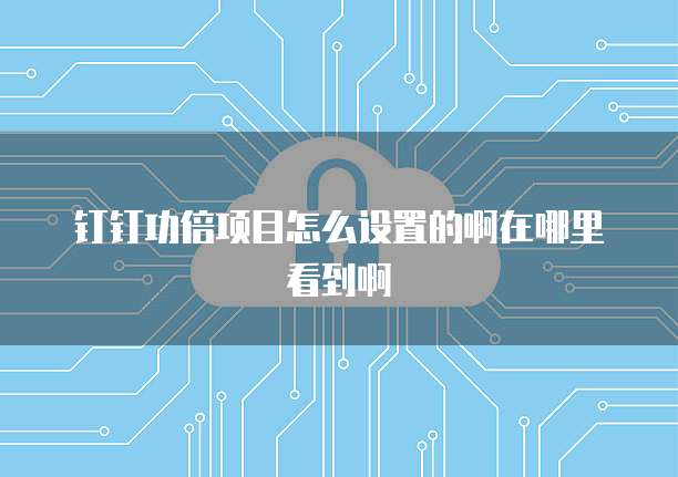 钉钉功倍项目怎么设置的啊在哪里看到啊