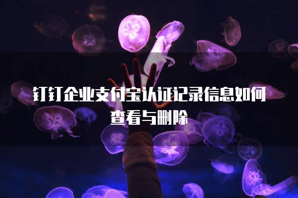 钉钉企业支付宝认证记录信息如何查看与删除