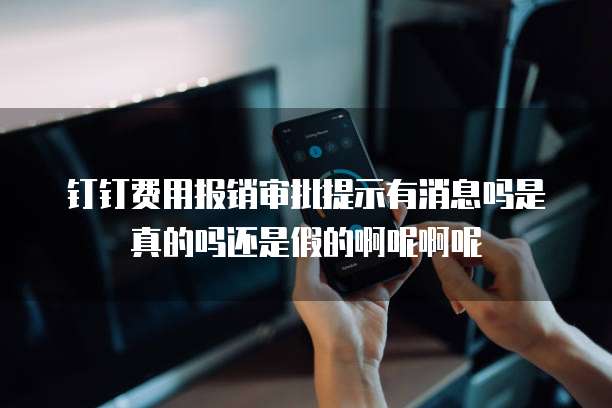 钉钉费用报销审批提示有消息吗是真的吗还是假的啊呢啊呢