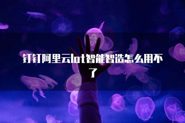 钉钉阿里云lot智能智造怎么用不了