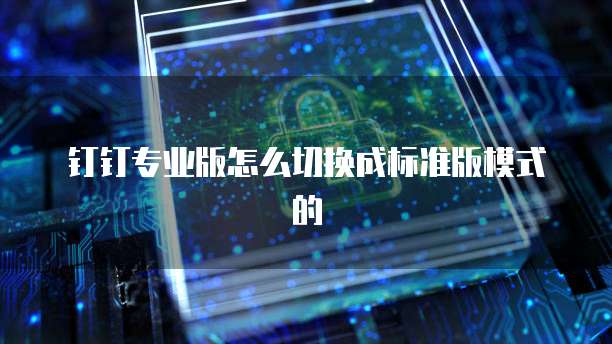 钉钉专业版怎么切换成标准版模式的