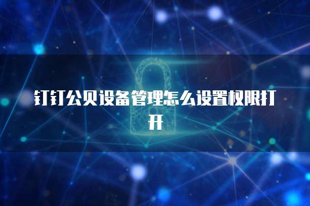 钉钉公贝设备管理怎么设置权限打开