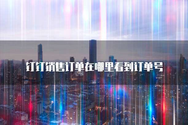 钉钉销售订单在哪里看到订单号