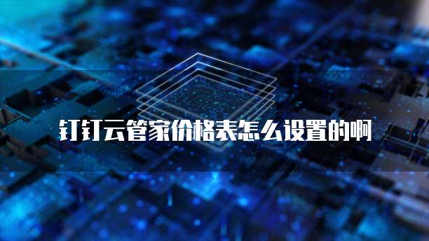 钉钉云管家价格表怎么设置的啊