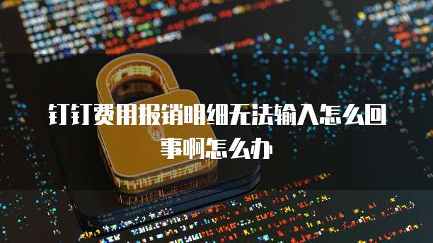 钉钉费用报销明细无法输入怎么回事啊怎么办