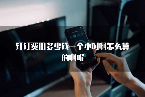 钉钉费用多少钱一个小时啊怎么算的啊呢