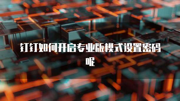钉钉如何开启专业版模式设置密码呢