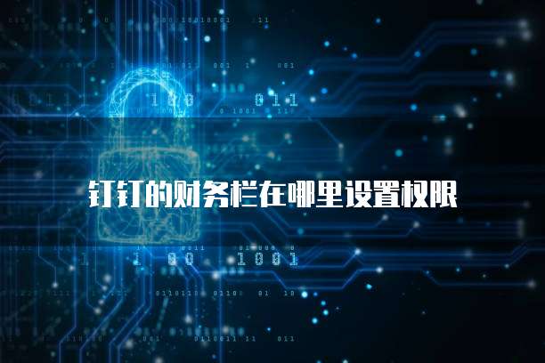 钉钉的财务栏在哪里设置权限