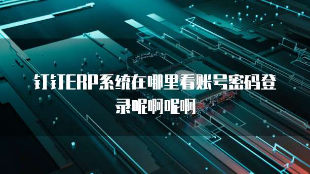 钉钉ERP系统在哪里看账号密码登录呢啊呢啊