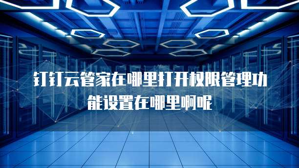 钉钉云管家在哪里打开权限管理功能设置在哪里啊呢