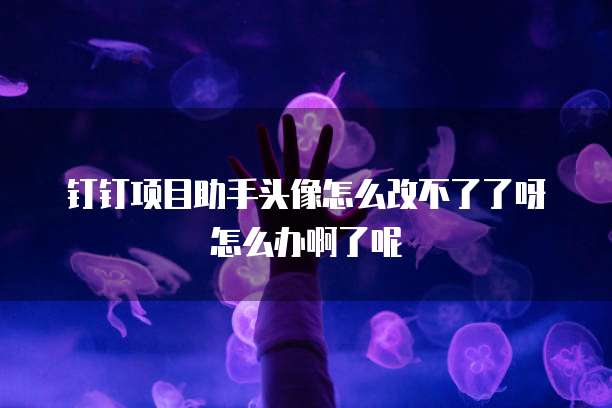钉钉项目助手头像怎么改不了了呀怎么办啊了呢