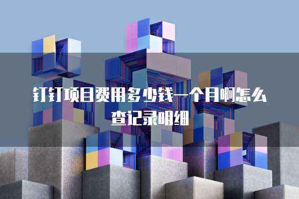 钉钉项目费用多少钱一个月啊怎么查记录明细