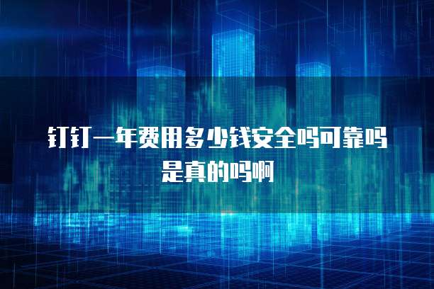 钉钉一年费用多少钱安全吗可靠吗是真的吗啊