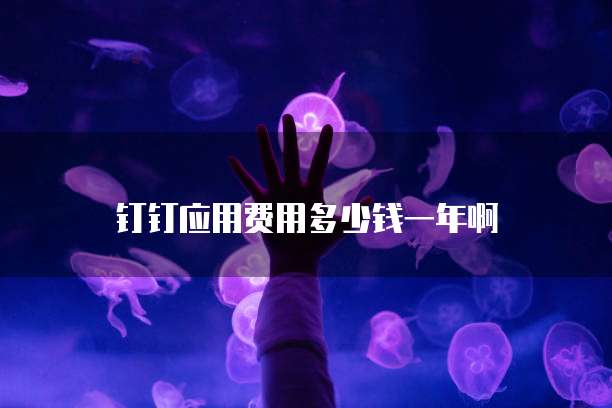 钉钉应用费用多少钱一年啊