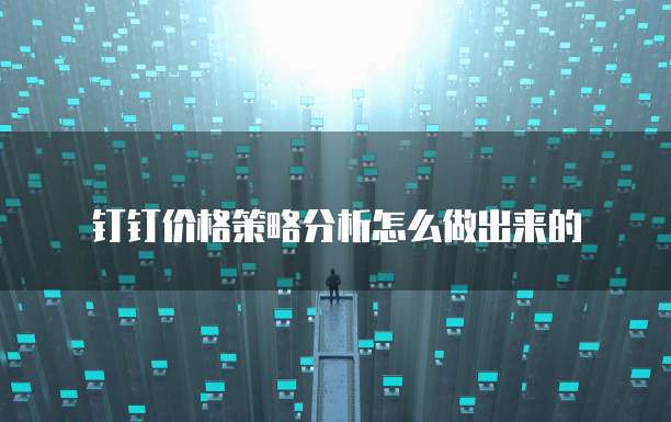 钉钉价格策略分析怎么做出来的