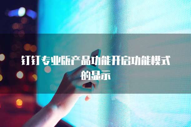钉钉专业版产品功能开启功能模式的显示
