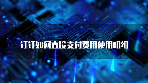 钉钉如何直接支付费用使用明细