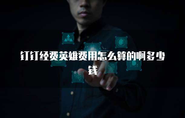 钉钉经费英雄费用怎么算的啊多少钱