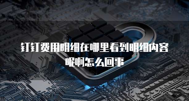钉钉费用明细在哪里看到明细内容呢啊怎么回事