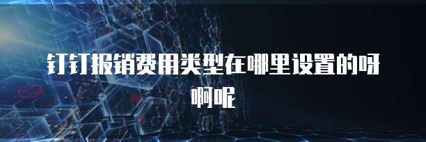 钉钉报销费用类型在哪里设置的呀啊呢