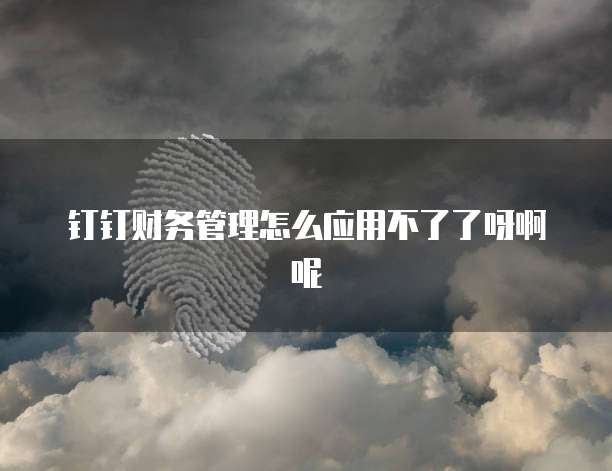 钉钉财务管理怎么应用不了了呀啊呢