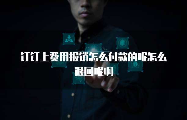钉钉上费用报销怎么付款的呢怎么退回呢啊