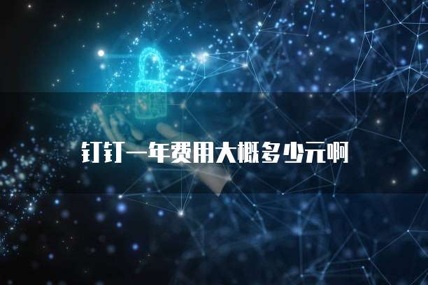钉钉一年费用大概多少元啊