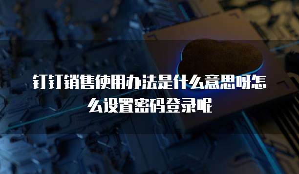 钉钉销售使用办法是什么意思呀怎么设置密码登录呢
