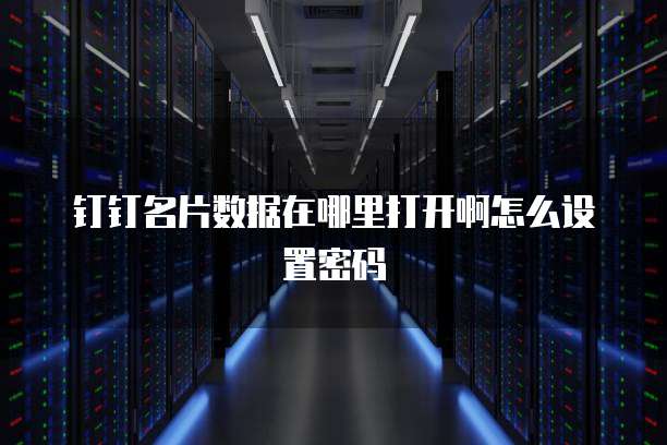 钉钉名片数据在哪里打开啊怎么设置密码