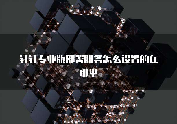 钉钉专业版部署服务怎么设置的在哪里