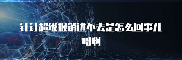 钉钉超级报销进不去是怎么回事儿呀啊