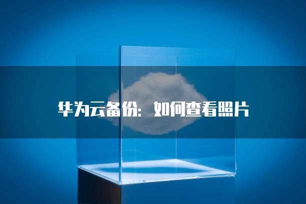 钉钉米腾车辆管理价格是多少?