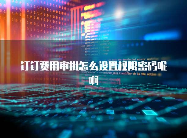 钉钉费用审批怎么设置权限密码呢啊