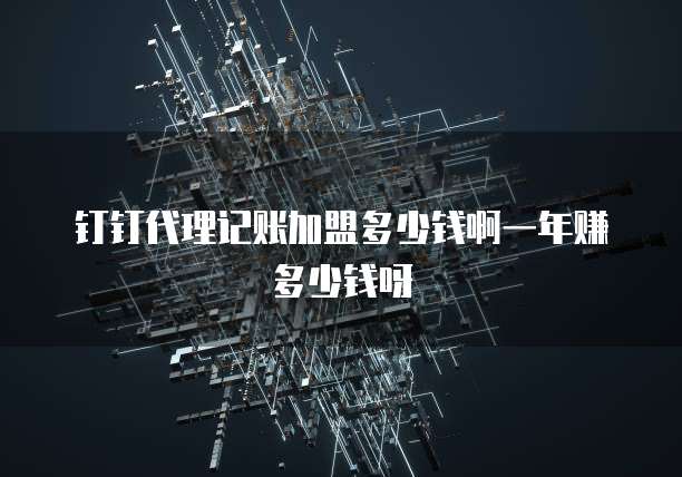 钉钉代理记账加盟多少钱啊一年赚多少钱呀