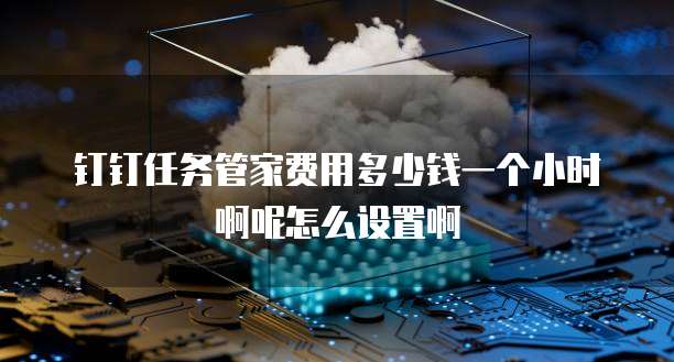 钉钉任务管家费用多少钱一个小时啊呢怎么设置啊