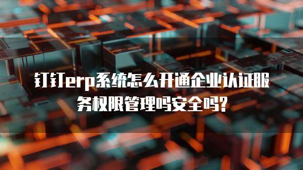 钉钉erp系统怎么开通企业认证服务权限管理吗安全吗?