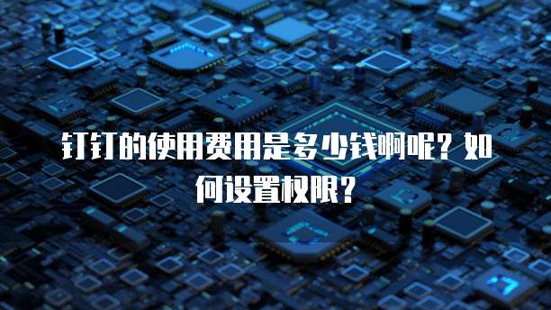 钉钉的使用费用是多少钱啊呢?如何设置权限?