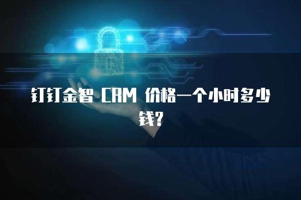 钉钉金智 CRM 价格一个小时多少钱?