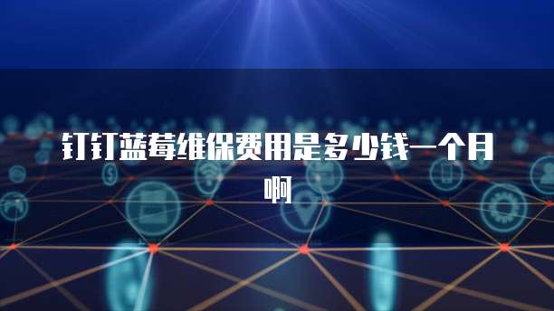 钉钉蓝莓维保费用是多少钱一个月啊