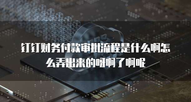 钉钉财务付款审批流程是什么啊怎么弄出来的呀啊了啊呢