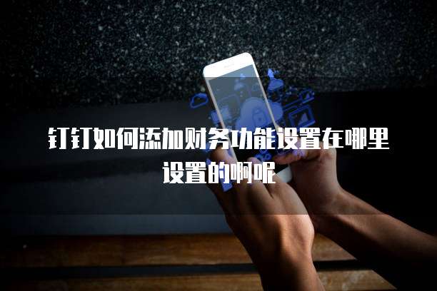 钉钉如何添加财务功能设置在哪里设置的啊呢