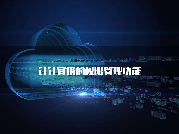 钉钉宜搭的权限管理功能
