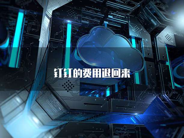 钉钉的费用退回来