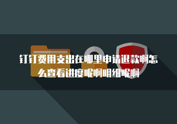 钉钉费用支出在哪里申请退款啊怎么查看进度呢啊明细呢啊