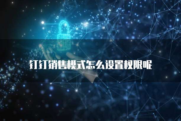 钉钉销售模式怎么设置权限呢
